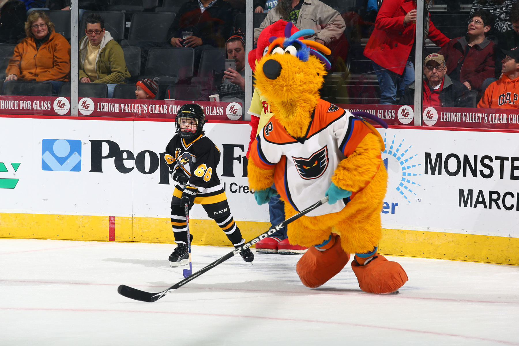 meLVin - Lehigh Valley Phantoms