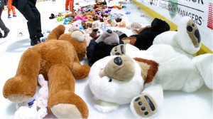 Teddy Bear Toss crop