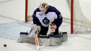 Elmira Jackals vs. Reading Royals, Wednesday, November 26, 2014, Santander Arena, Reading, PA