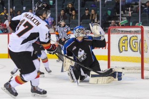 Kootenay Ice v Calgary Hitmen