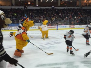 Phantoms' Lead Overcome by Comets - Lehigh Valley Phantoms