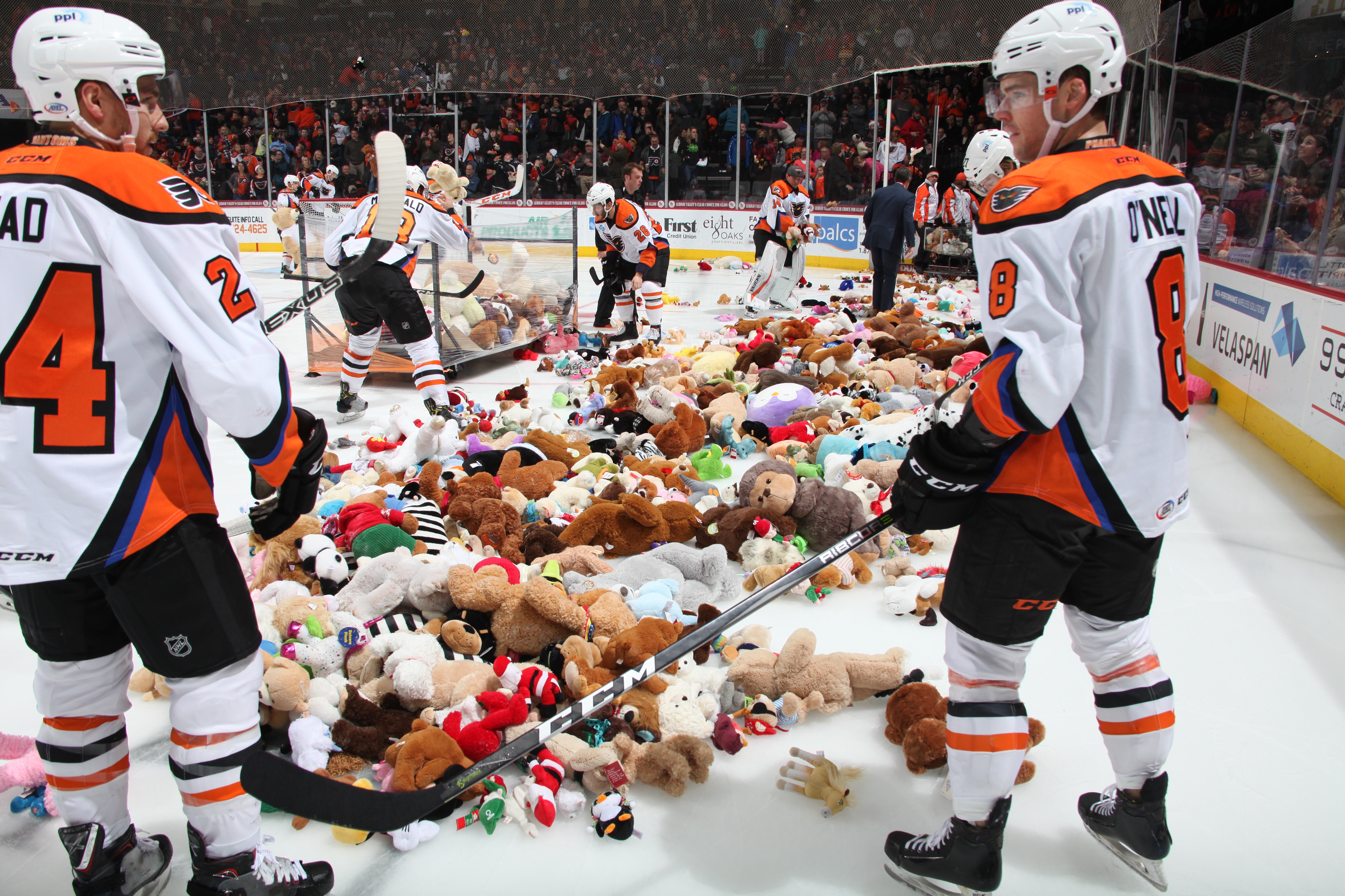 Teddy Bear Toss with the Providence Bruins