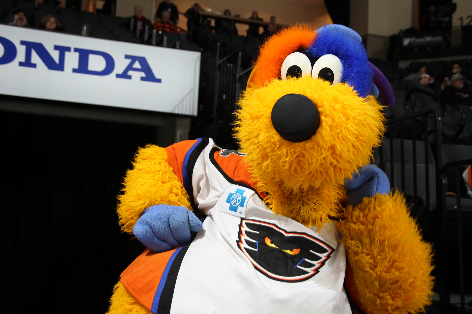 Lehigh Valley Phantoms - Happy Mascot Day to our favorite Puck