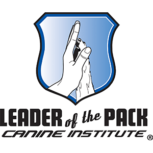 Leader of the Pack