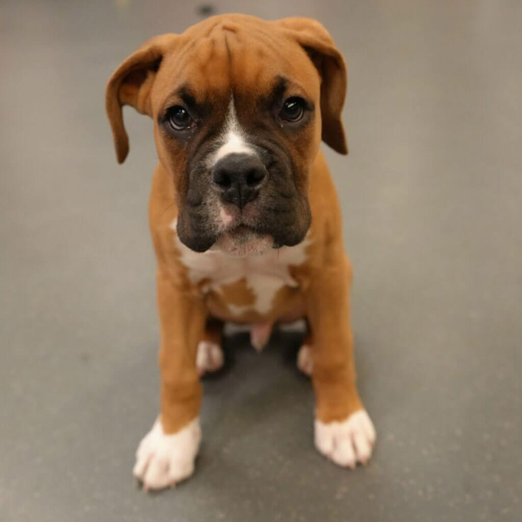 Jax