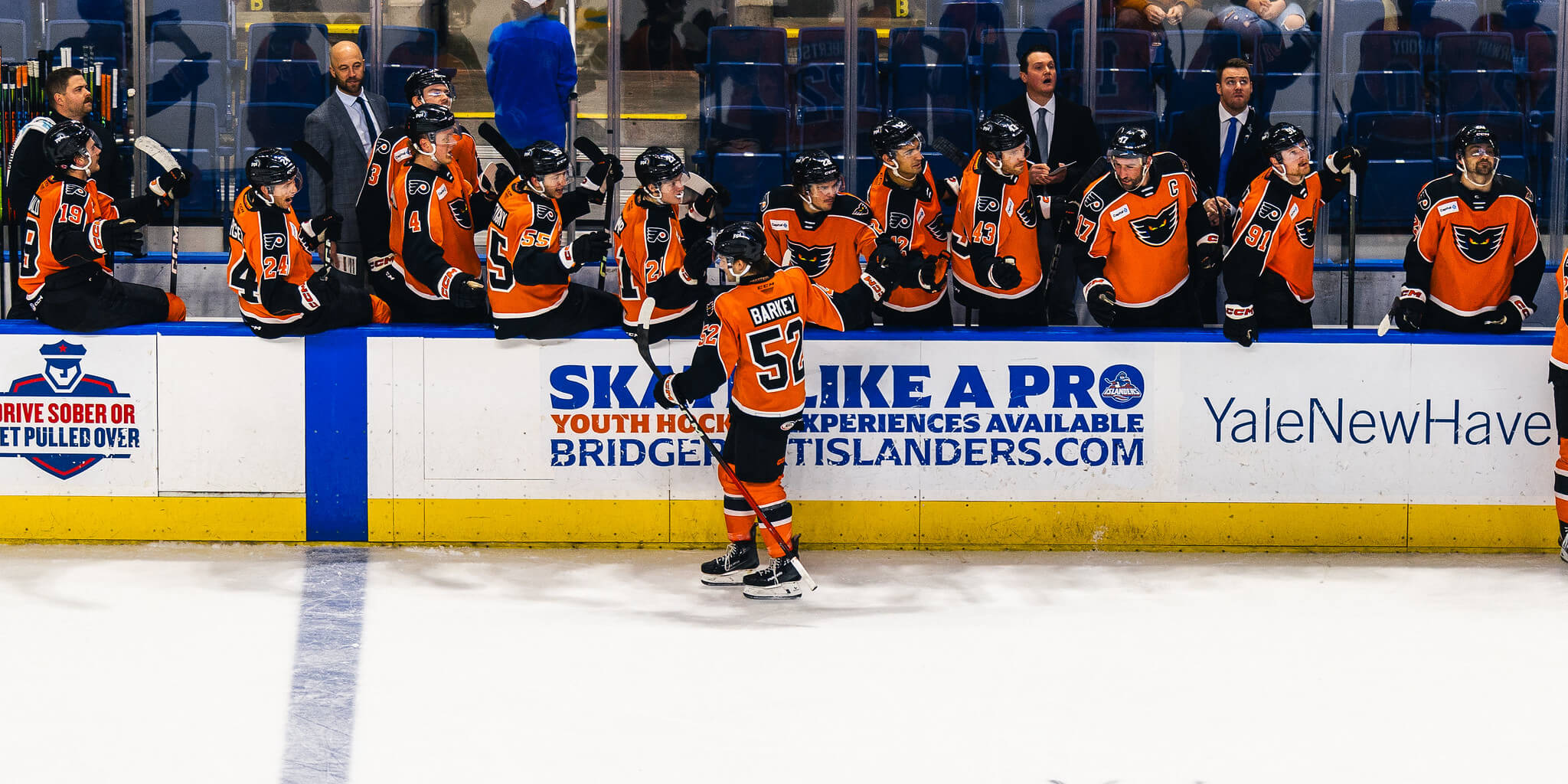 All Bark Plus the Bite