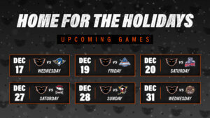 Home for the Holidays Guide