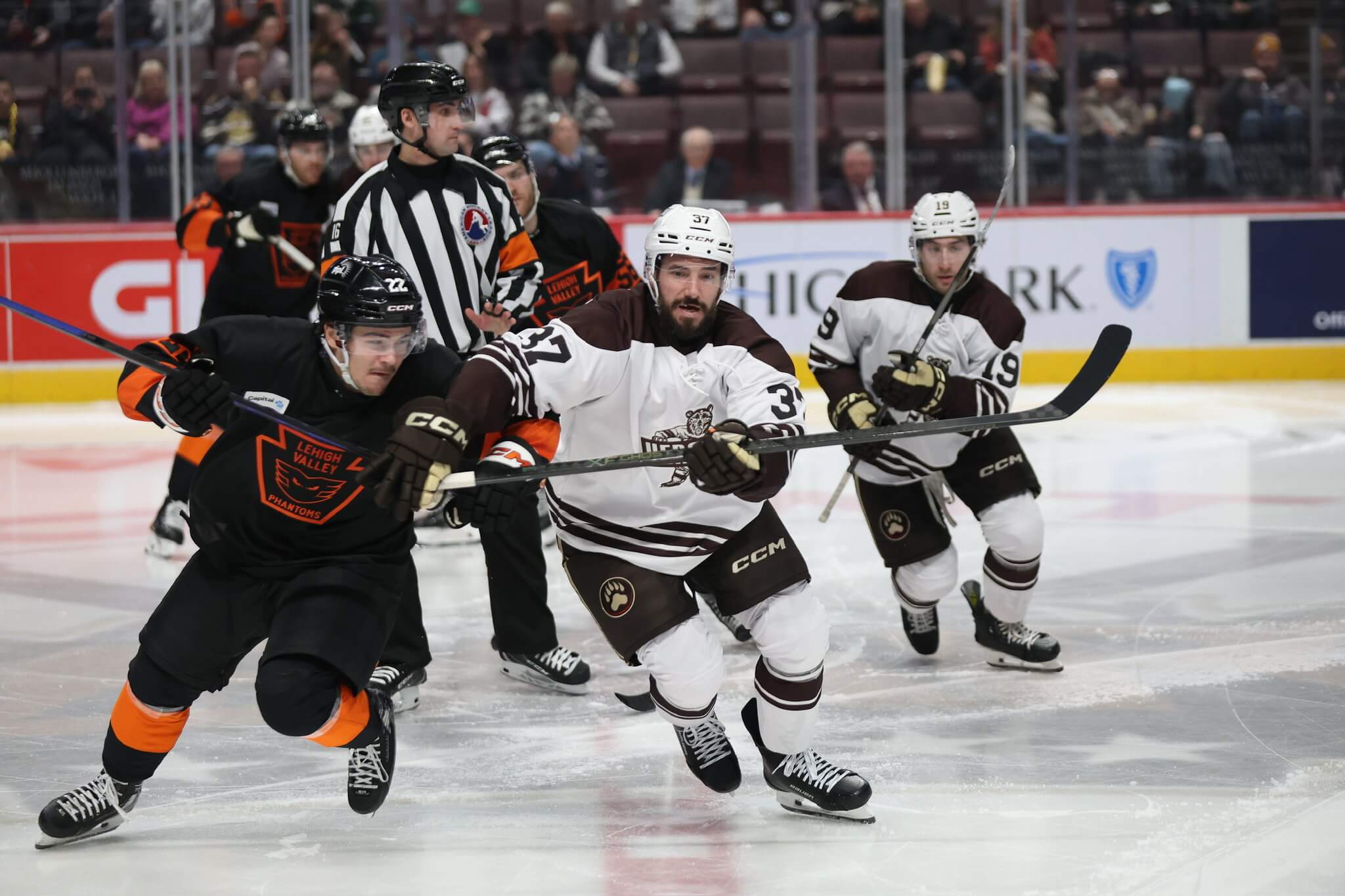 Bears Outlast Phantoms in Rivalry Duel