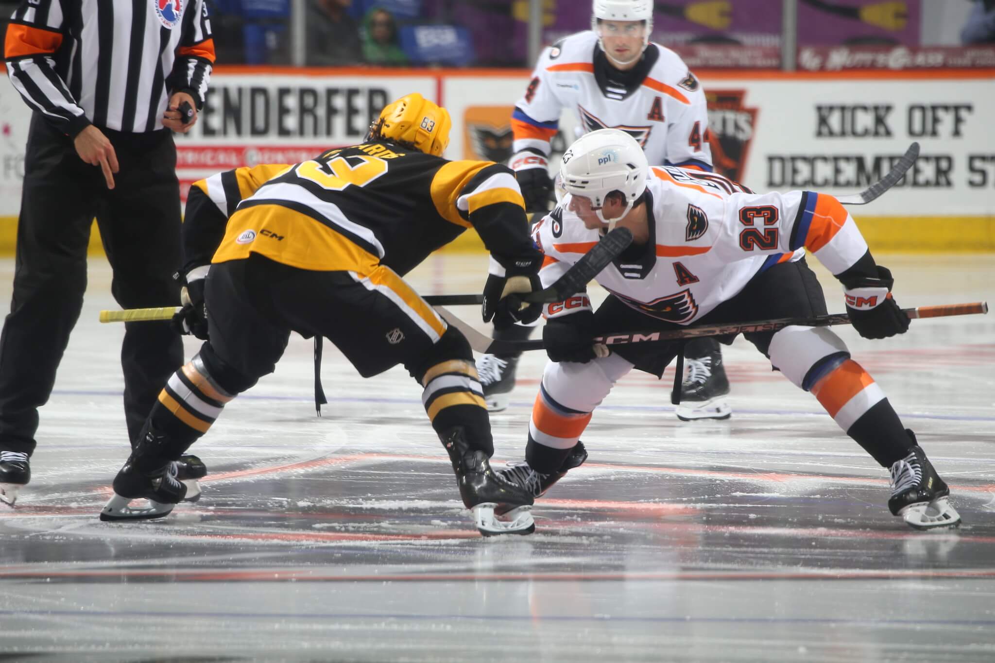 Phantoms Conclude Preseason